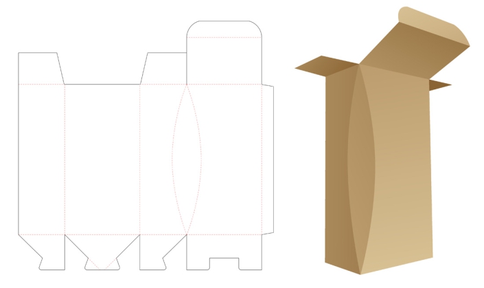 Diseño packaging cartón